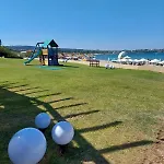 Lillies Sunny Relax