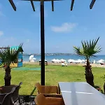 Lillies Sunny Relax 索佐波尔