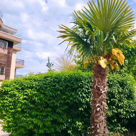 Lillies Sunny Relax Apartament Sozopol